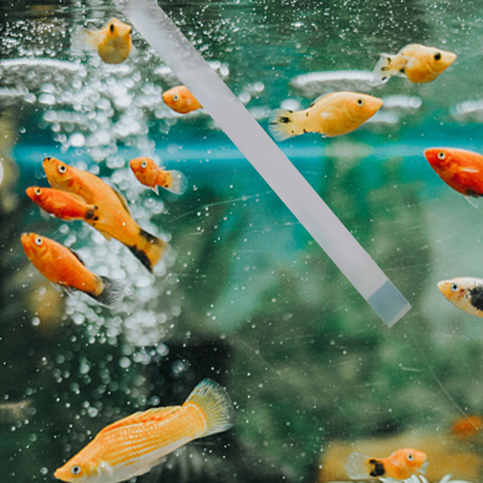 Aquarium Test Kit - Тест-полоски для бассейнов, тестеры pH для