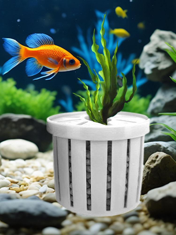 Набор из 4-х держателей для ак – обзор и цена Aquarium Fish Restaurant