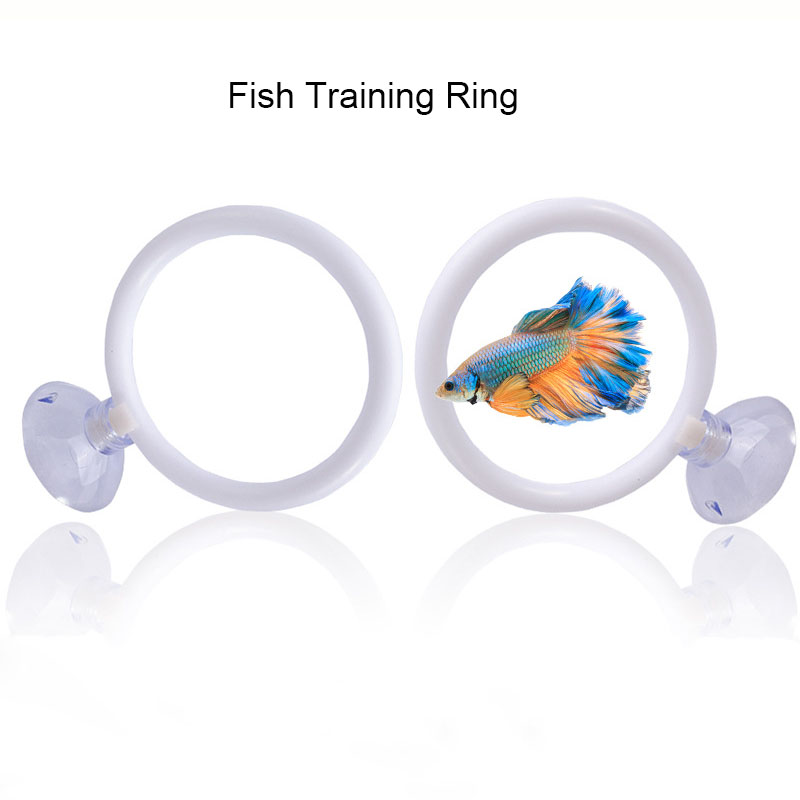 1 шт. Пластиковый тренировочны – обзор и цена Fish Toys For Aquarium