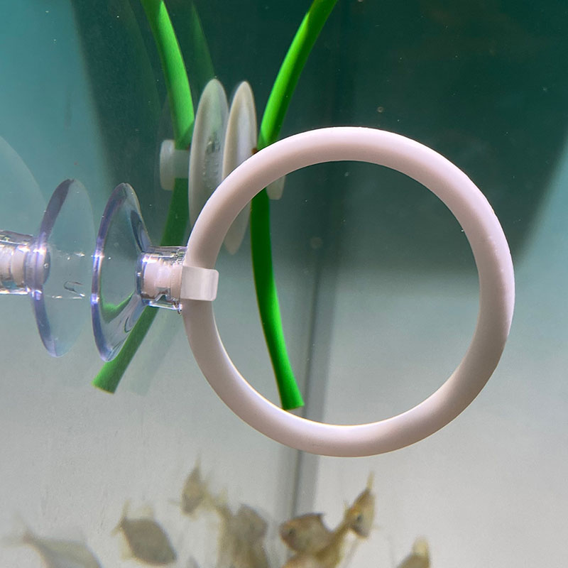 1 шт. Пластиковый тренировочны – обзор и цена Fish Toys For Aquarium
