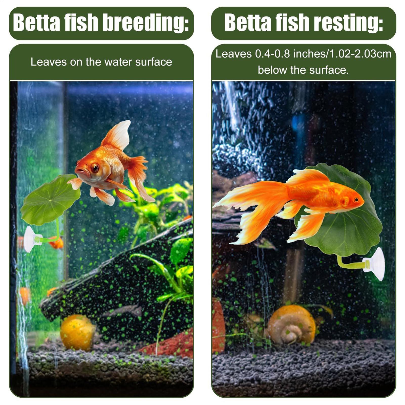 Гамак для рыбы Betta, 5 шт., р – обзор и цена Fish Toys For Aquarium