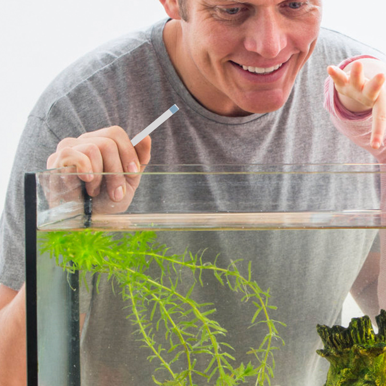 Тест-полоски для бассейнов, те – обзор и цена Aquarium Test Kit