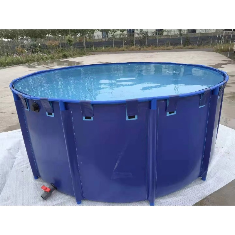 Оптовая продажа: Индивидуальны – обзор и цена Aquarium Fish Popular