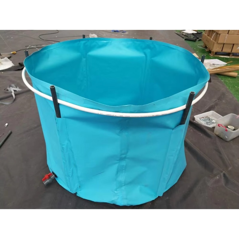 Оптовая продажа: Индивидуальны – обзор и цена Aquarium Fish Popular