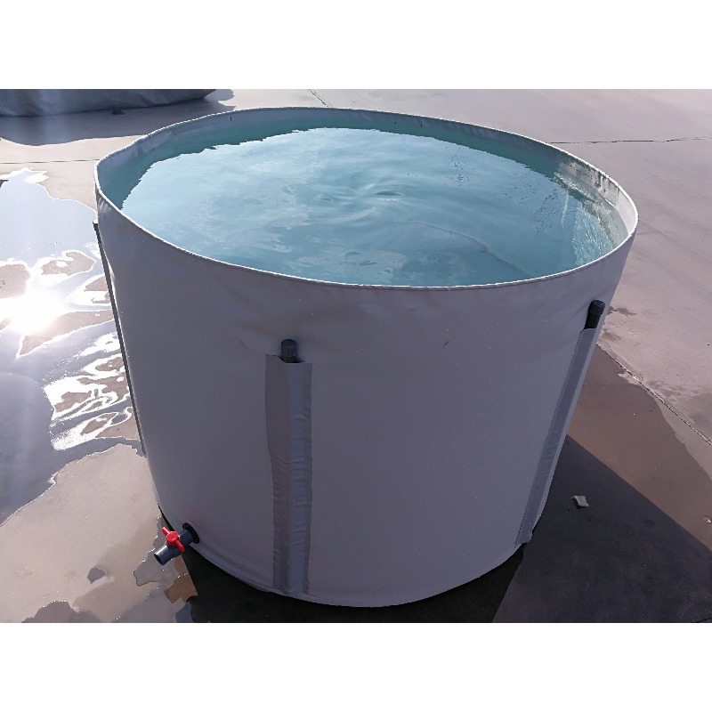 Оптовая продажа: Индивидуальны – обзор и цена Aquarium Fish Popular